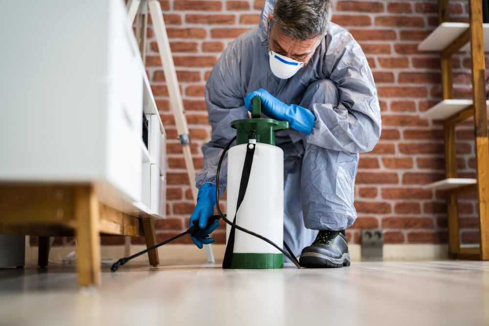67f599e5f015903d001096d8_workers-compensation-insurance-for-pest-control-cost