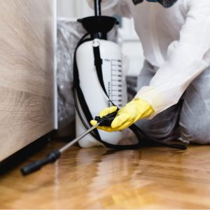 Pest-control-1210x723
