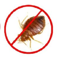 bed-bug-pest-control-service-500x500-3-pm8r6u2aj5e8lsisfubcy38j11reipcy783r27rh6g