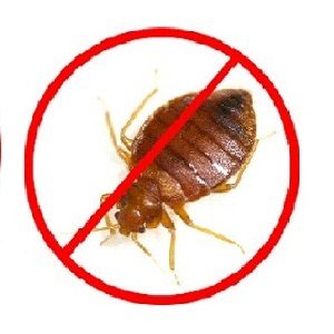 bed-bug-pest-control-service-500x500