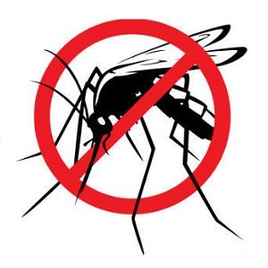 mosquito Control Service in Abu Dhabi